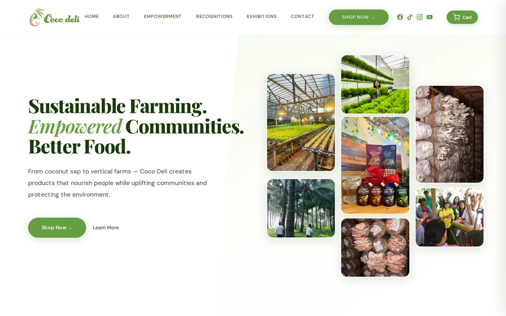 Coco Deli website, built by UpscaleCorp