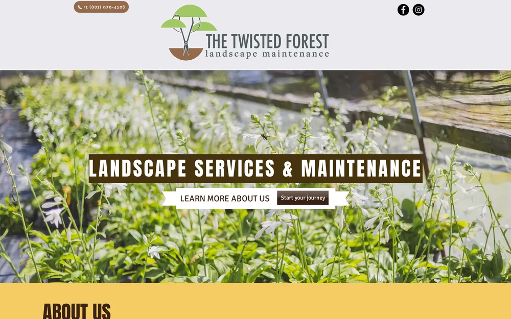 The Twisted Forest website, built by UpscaleCorp